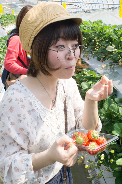 いちご狩り-18042013