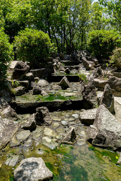 中央公園-1707261