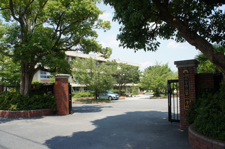 1fe06293-s