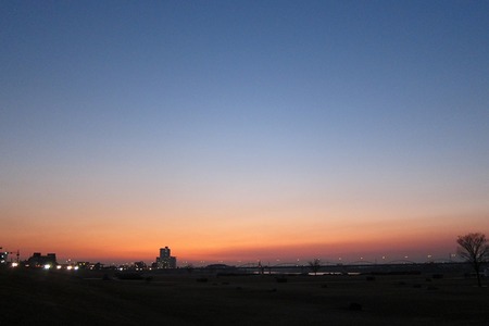 20110206IMG_0422