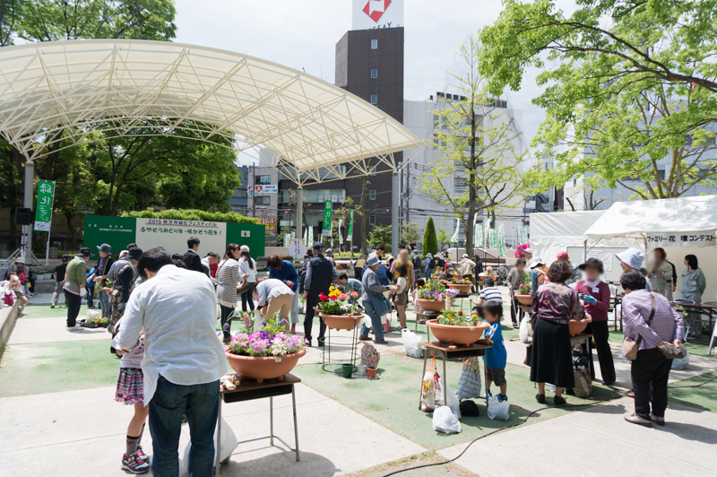 緑化フェス16