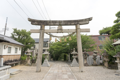 百済王神社の桜-2