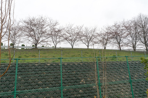 東部公園-15032944