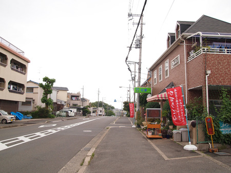 P5217525