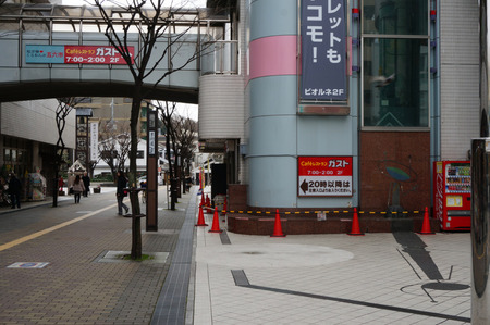 ビオルネ前の木130213-06