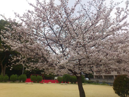 二ノ宮公園130329_01