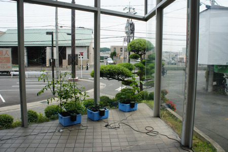 120605DSC01648