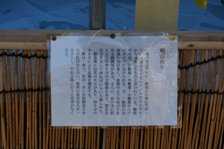 菊花展131105-17
