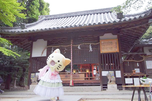 asaiku-8