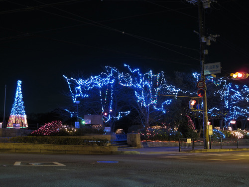 さくら近隣公園02