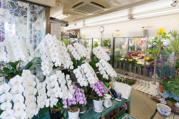花幸花店-1605245