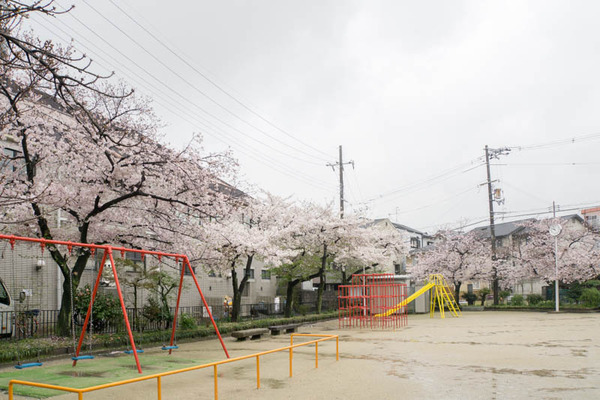 伊加賀公園-1604042