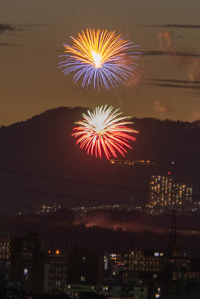 花火-1908085