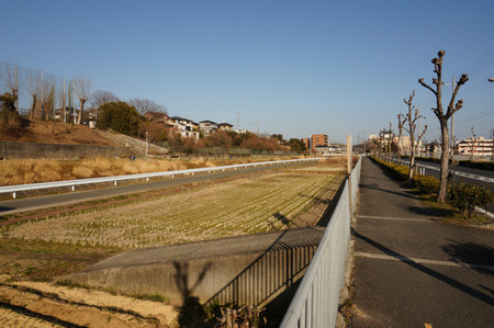 おかやま歯科130228-03