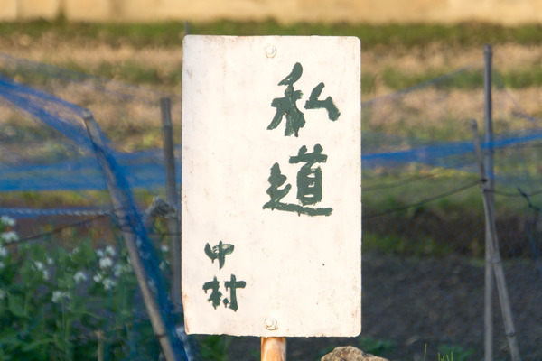 なかむらしどう-1804203