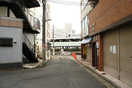 fiorire20120815172046