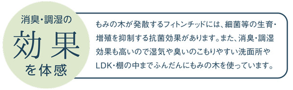 もみの木の効果を体験