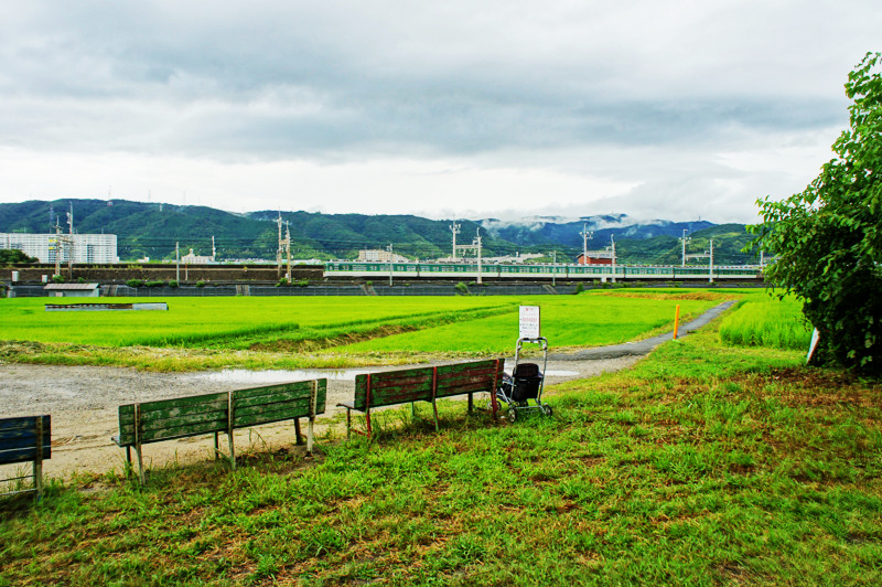 楠葉中之芝、楠葉台場跡から京阪電車【枚方フォト】