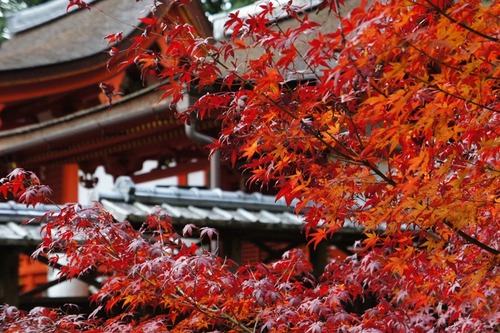 交野天神社