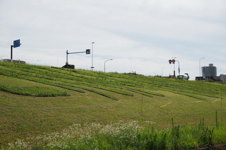 淀川河川公園130719-06