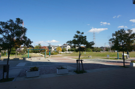 PARADISSO131118-11