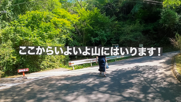 新サンドイッチ山2-2006044