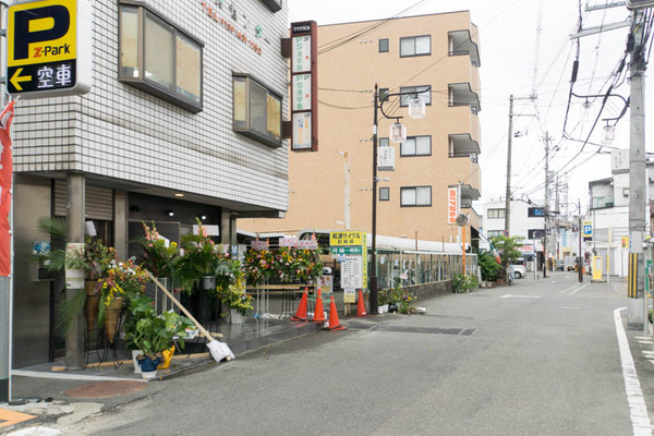 MOWMOWファイヤー-1807031