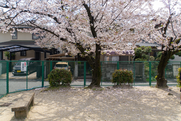 南船橋公園-20040713