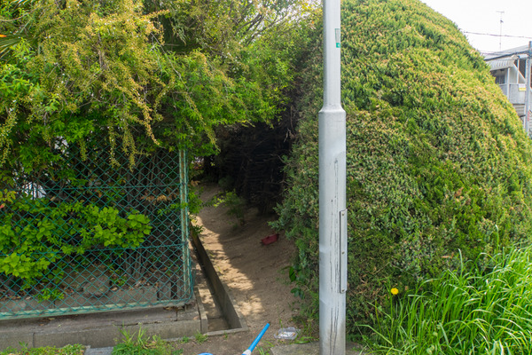 甲斐田公園-2004176