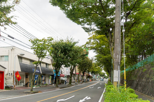 ベトナム-2010054