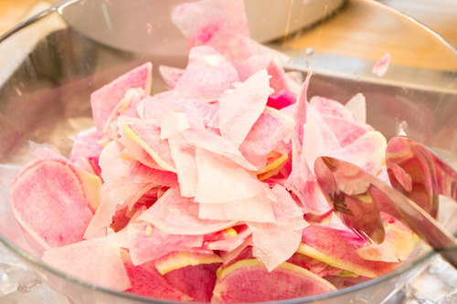 トラットリアパンジャ2-15061850