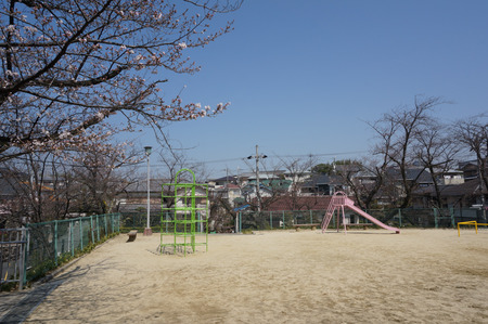 村野公園の桜-3