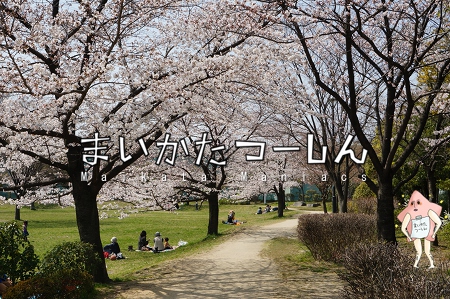 まいつー