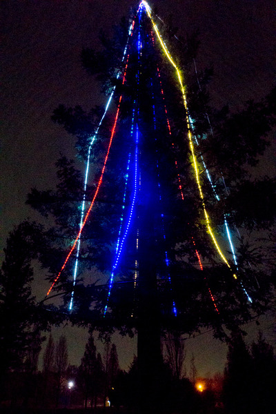 山田池公園-15122104