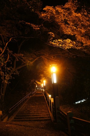 万年寺山の紅葉121203_03
