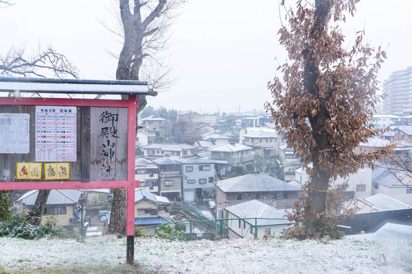 雪-2101121