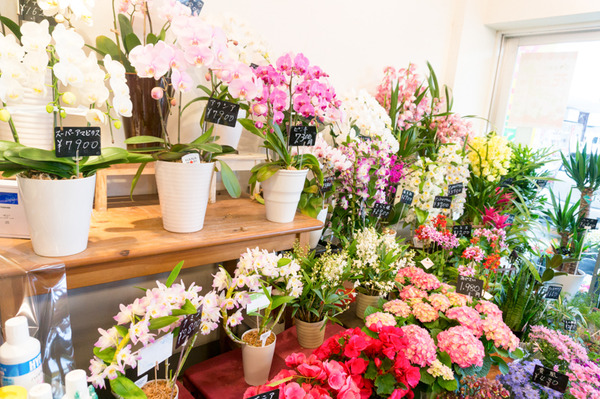 コウダ花店-12