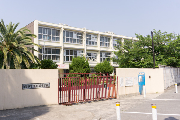 松丘-29