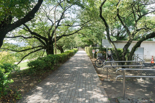 背割堤-15091902