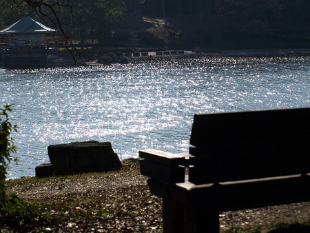 山田池公園140124-01a