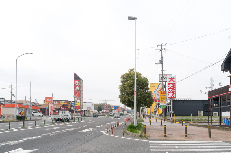 1号線ぞい八幡に「犬の家」ってペットショップができるみたい。3月28日 