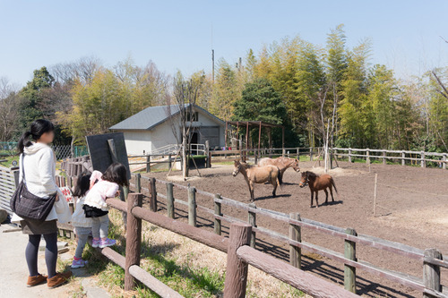 王仁公園
