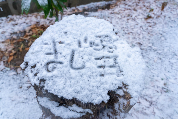 雪-2101128