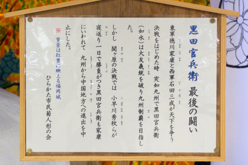 菊花展-1410312