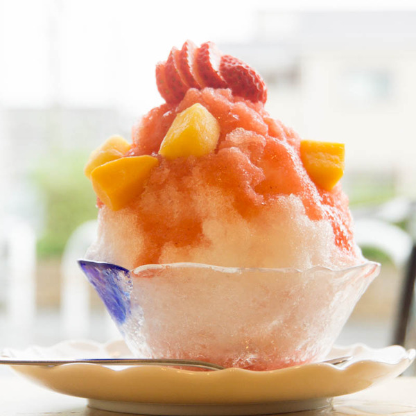 れんげそう-1807071