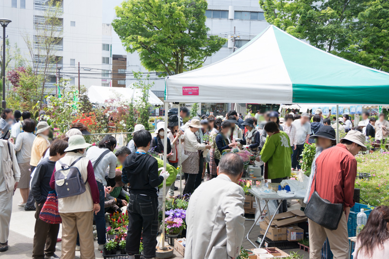 緑化フェス11