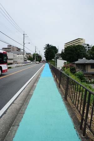 20100815aqua3