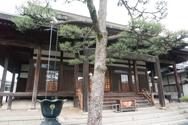 20160404藤阪1-332