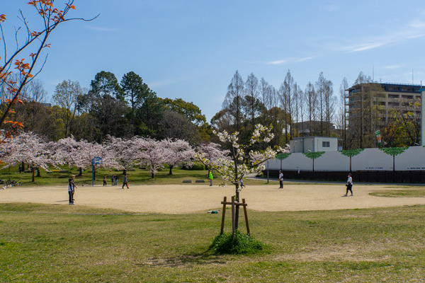 楠葉東公園-20040716