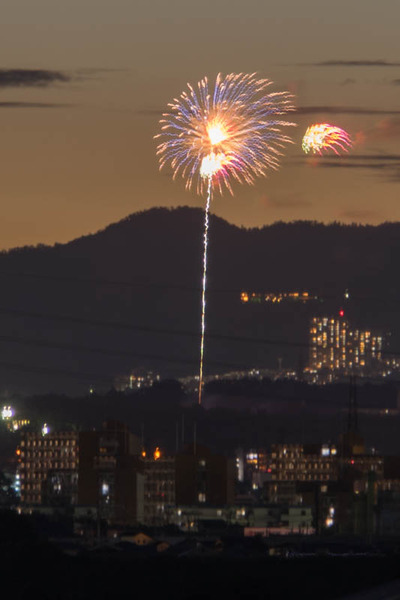 花火-1908083
